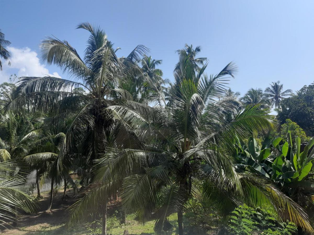 Hotel Paradiso, Unawatuna Ngoại thất bức ảnh