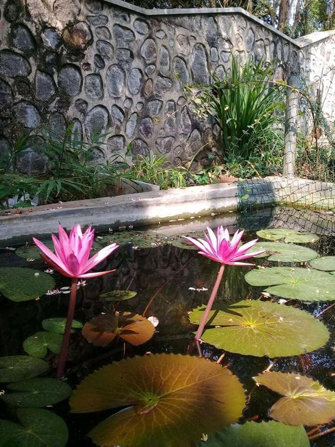 Hotel Paradiso, Unawatuna Ngoại thất bức ảnh